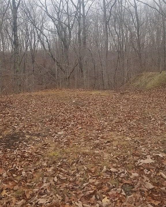2nd image of 24 Rose Ln