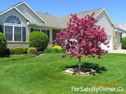 Flowering trees