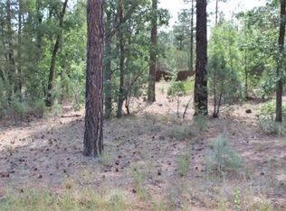 5773 E Starlight Ridge Rd, Lakeside, AZ 85929