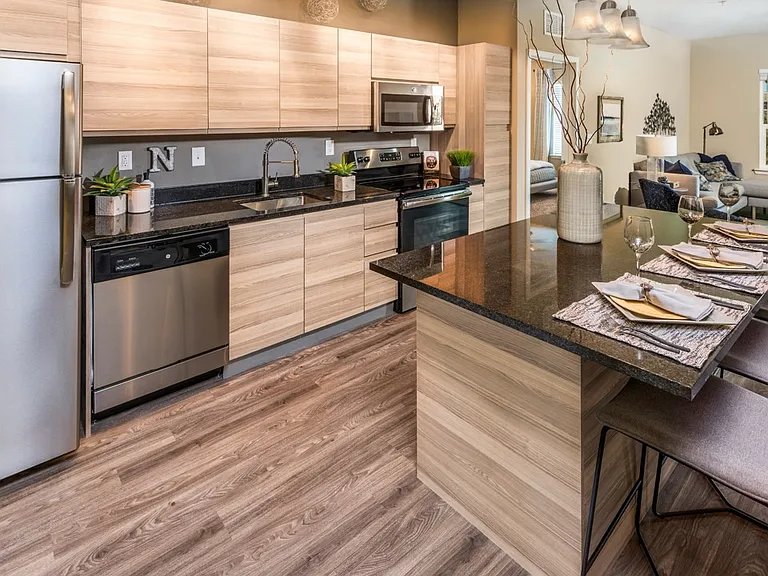 The Nolen Luxury Apartments — Photo 18