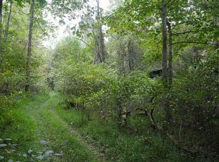 Bryson Cove Rd, Abingdon, VA 24210