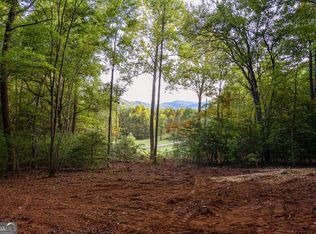 0 Cottonwood Ln, Blue Ridge, GA 30513