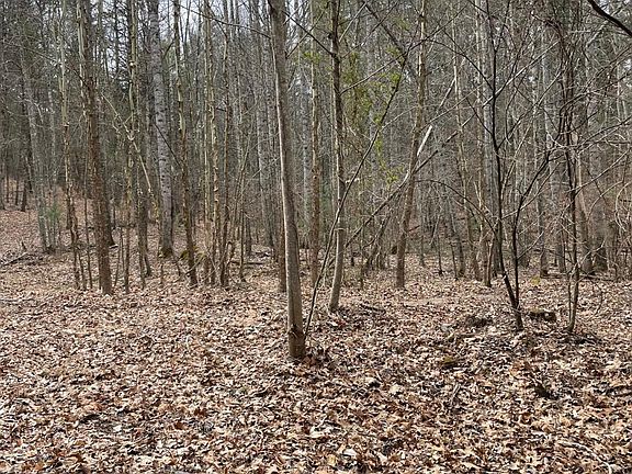 3rd image of Estaline Valley Rd