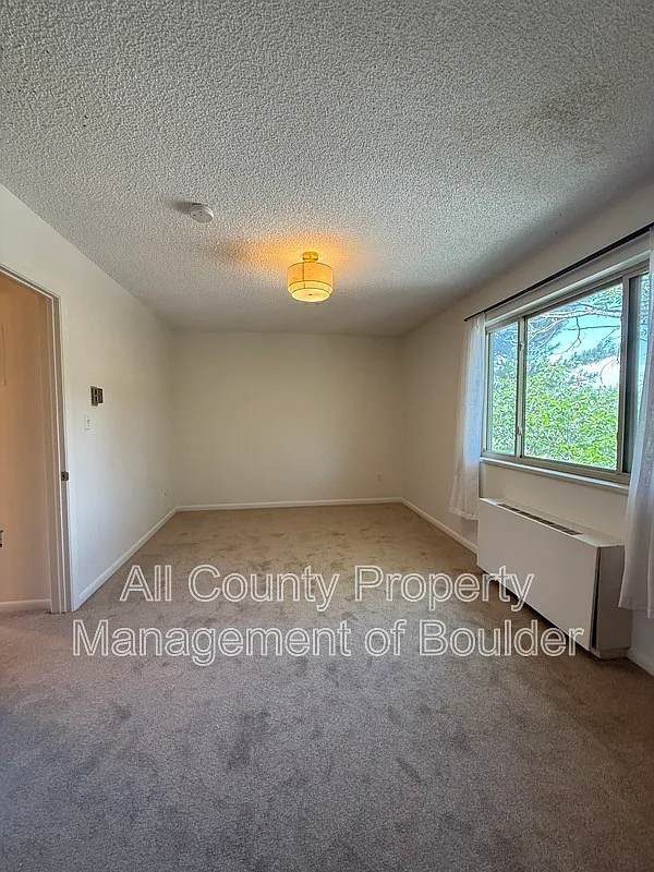 1 bed, 1.0 bath, 589 sqft, $1,495 — Photo 4