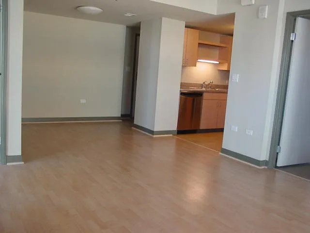 425 W Beech St #1301 — Photo 24