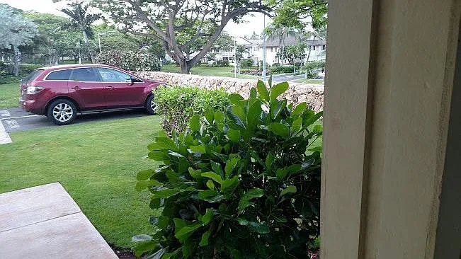 Guest parking