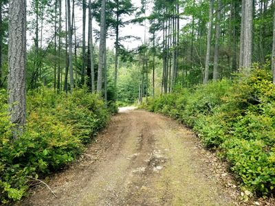 4522 Saratoga Downs Pl, Langley, WA, 98260