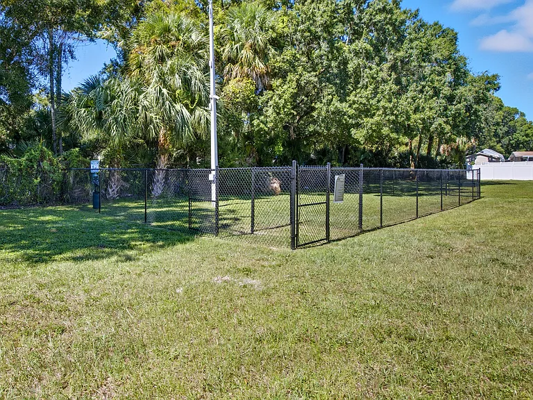 Palmera Pointe — Photo 26