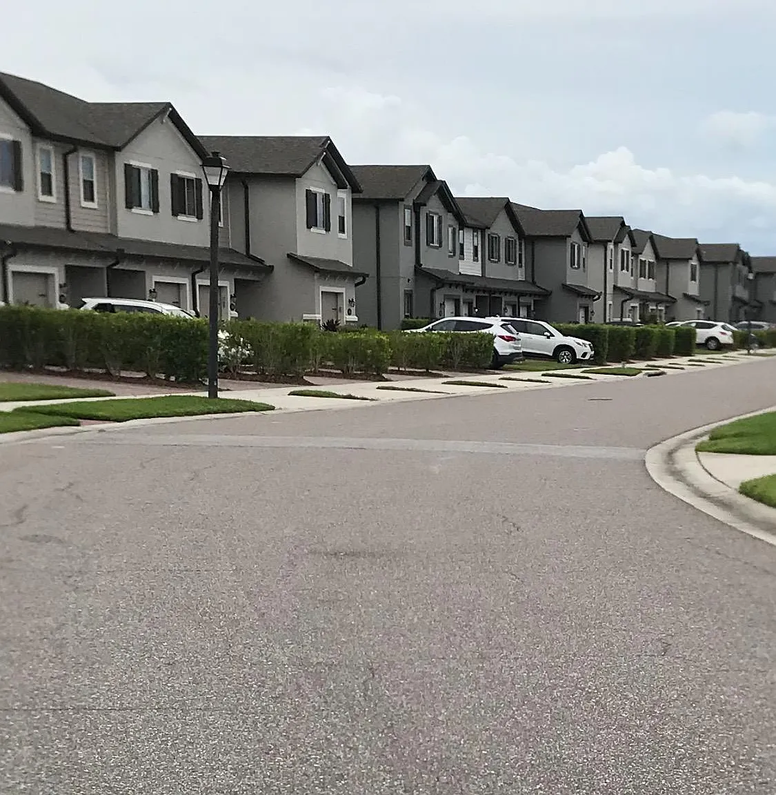 1124 Water Iris Way — Photo 2