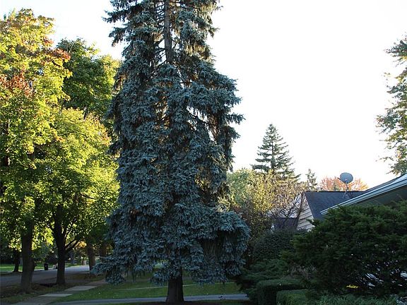 2nd image of 32349 Sheridan Dr
