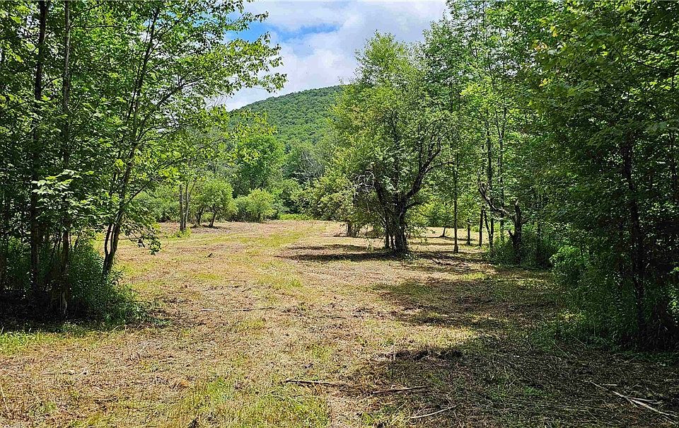 1st image of 1233 State Route 221