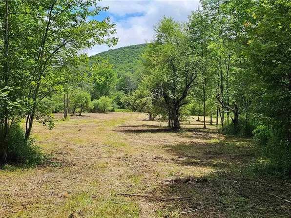 1233 State Route 221, Marathon, NY 13803