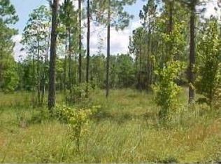 11655 NE 212th Ln, Fort Mc Coy, FL 32134