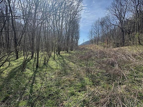 5th image of 0 Pine Lick Rd