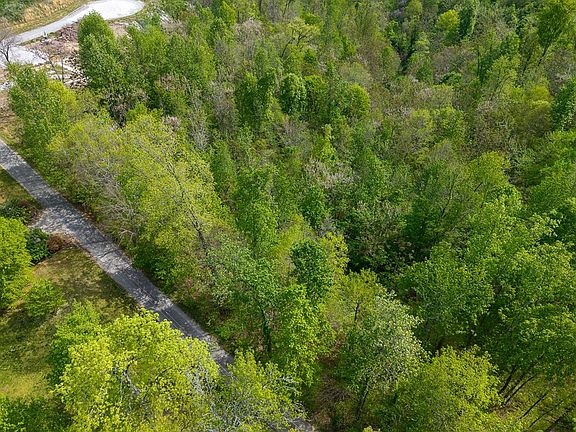 4th image of LOT 75 Backbone Rd