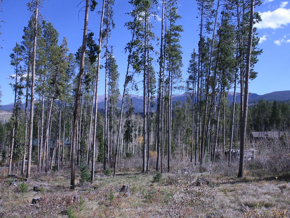 1st image of 603 Forest Trl