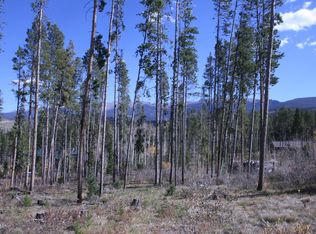 603 Forest Trl, Winter Park, CO 80482