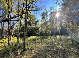 LOT 5 Porter Hill Rd E LOT 5, Lockwood, NY 14859