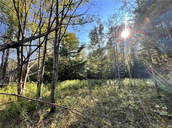 LOT 5 Porter Hill Rd E Lot 5, Lockwood, NY 14859