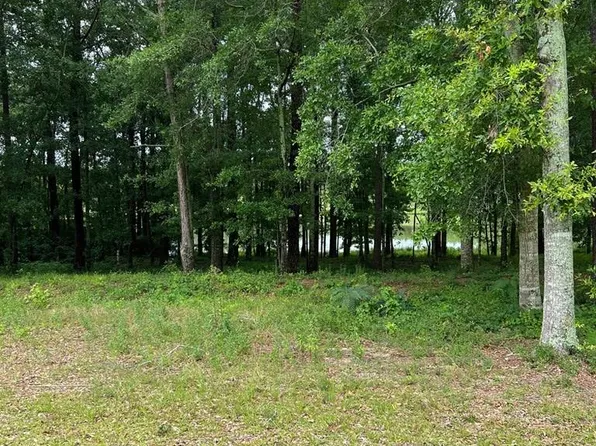 Private Road 1601, Chancellor, AL 36316