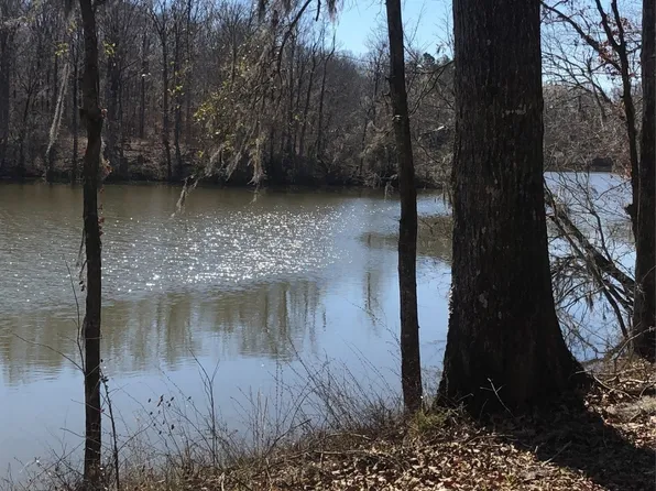 LOT 132 Red Eagle Dr, Lowndesboro, AL 36752