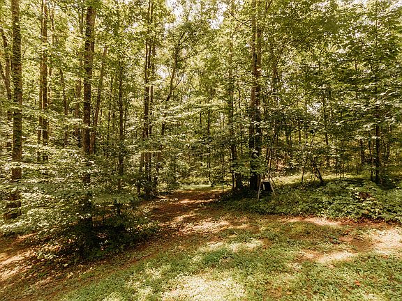 5th image of 45 Krider Ln