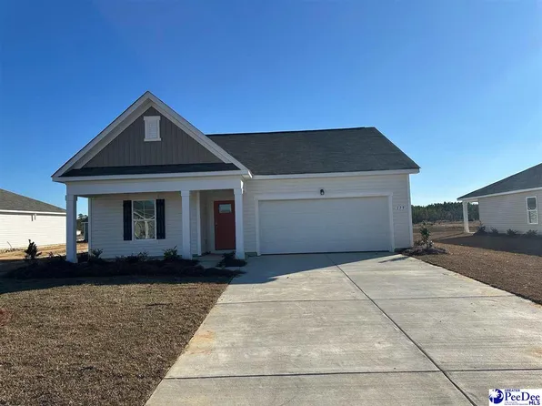 585 Strawberry Field Way, Galivants Ferry, SC 29544