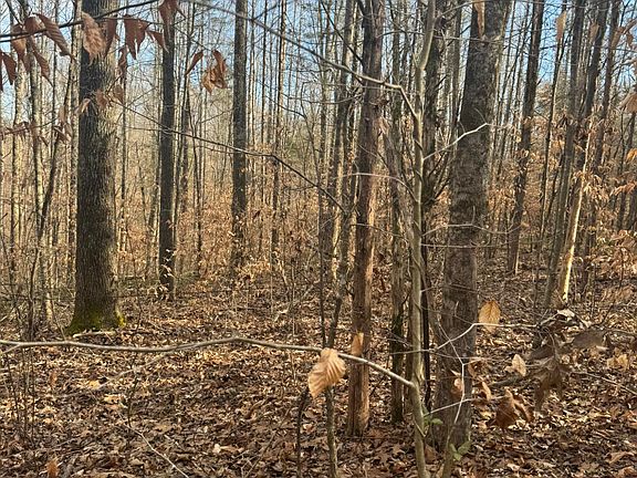 2nd image of 1064 Frontage Rd