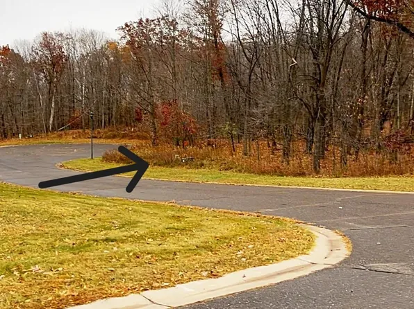 LOT 17 Wilderness Hills Ln, Luck, WI 54853