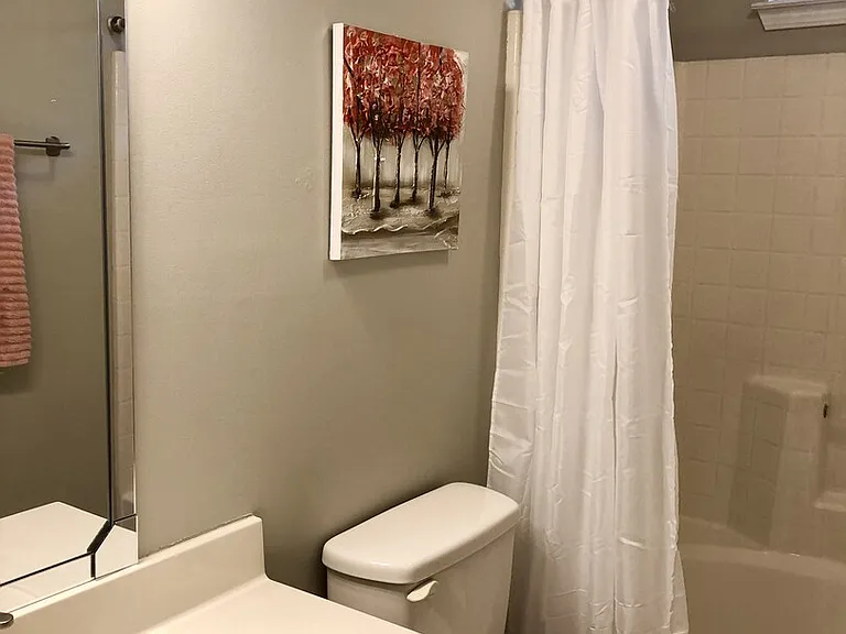 Cinnabay Dr — Photo 7