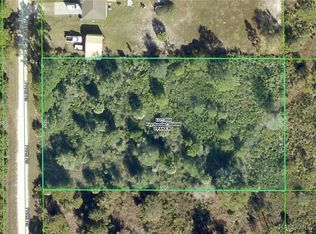 18484 Pake Rd, Brooksville, FL 34614