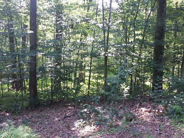 Ash Ln, White Haven, PA 18661