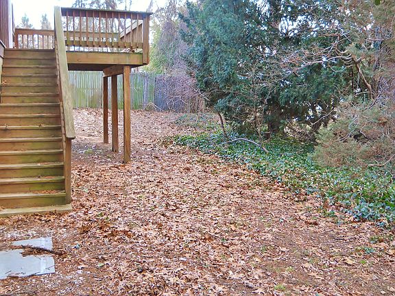 Wooded, Fenced Back Yard