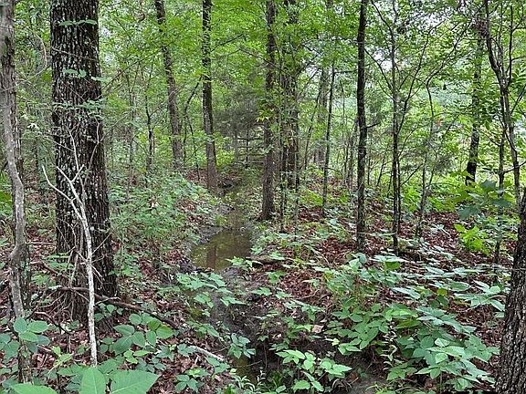 3rd image of LOT 20 County Road 1660