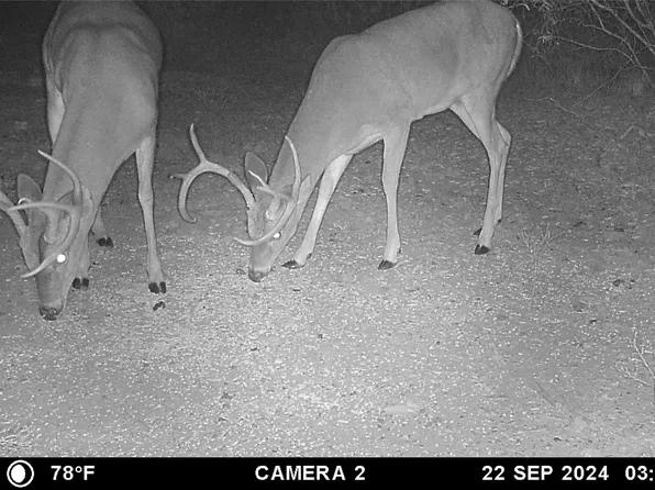 12750 County Road 129, Brownwood, TX 76801