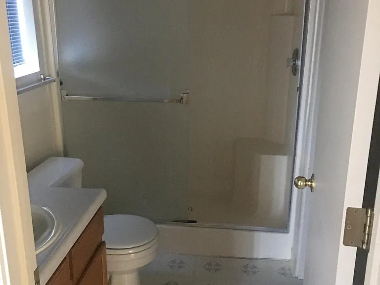 Master Bath (with walk-in closet)