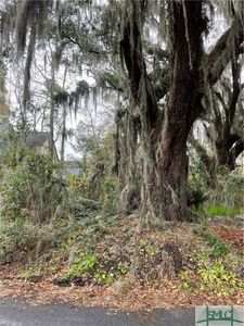 0 Albert St, Savannah, GA, 31406