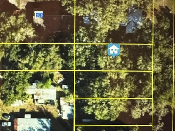 LOT #3 LOT 3, LAKE PANASOFFKEE, FL 33538