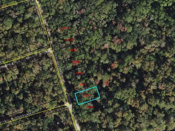 5 Fig Tree Ln, Crawfordville, FL 32327