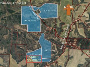 Britton Ln, Denmark, TN 38391