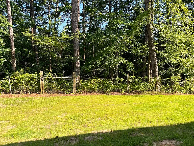 Private backyard