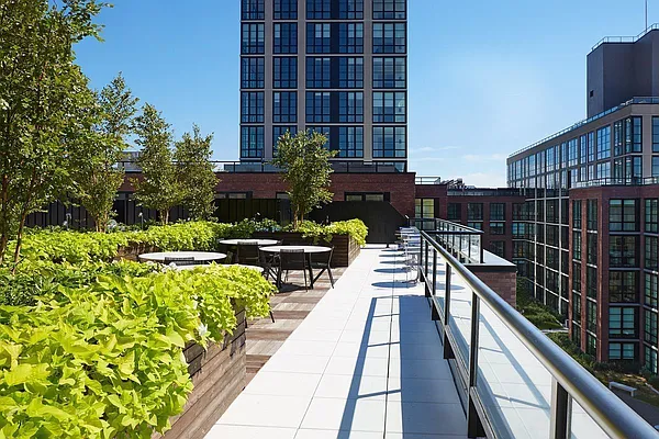 Rented by Aura Management | media 5