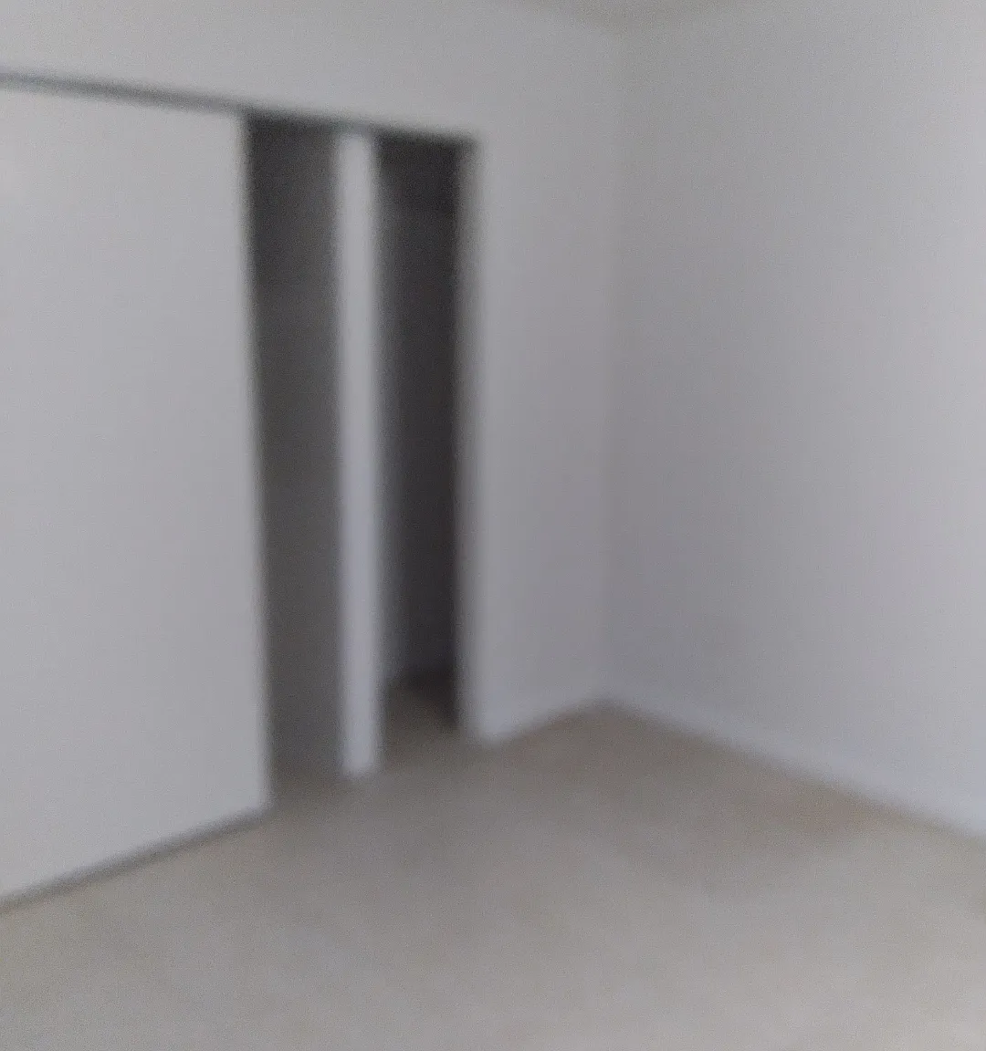 1 bed, 800 sqft, $950 — Photo 4