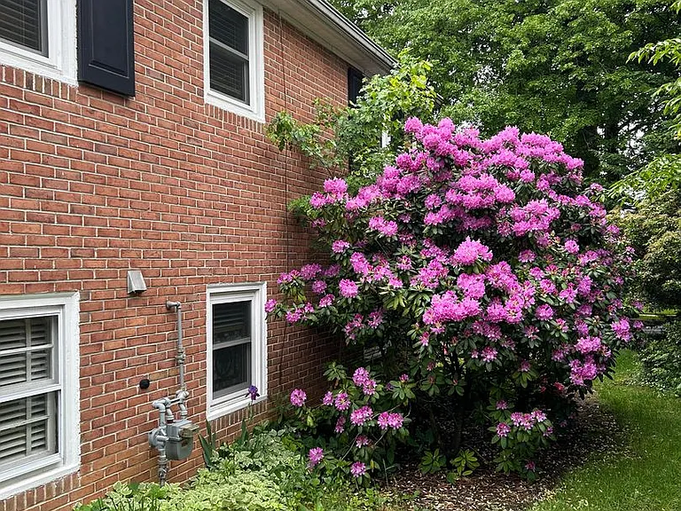 1409 Dauphin Ave — Photo 9
