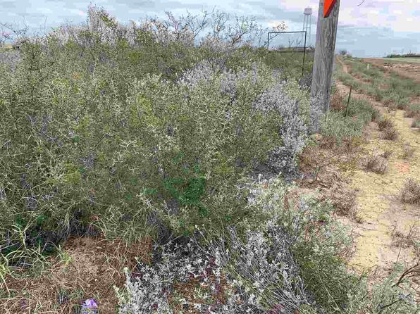 San Ygnacio Real Estate San Ygnacio Tx Homes For Sale Zillow