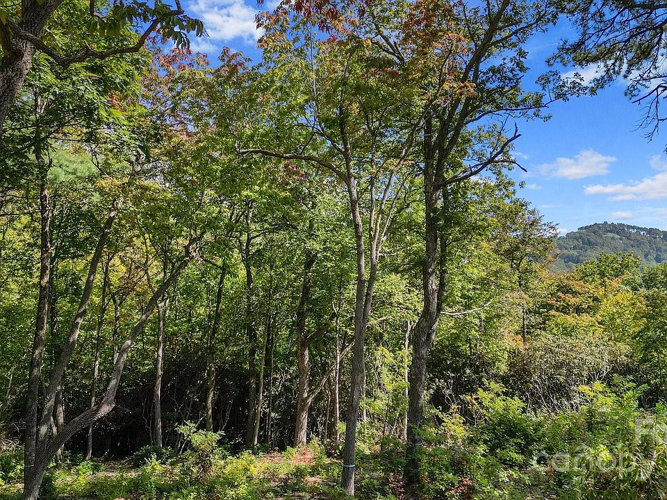 2nd image of 0 Mountain Grove Ln Lot 62