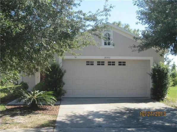 18003 Birdwater Dr, Tampa, FL 33647