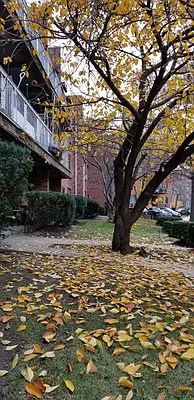 Rented by Richmont Realty LLC | media 10