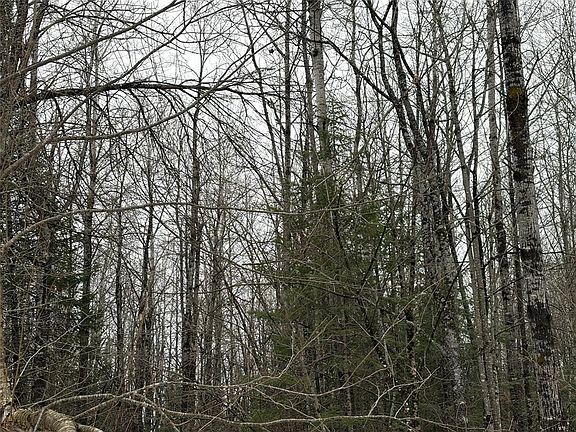 3rd image of ON Hofer Road