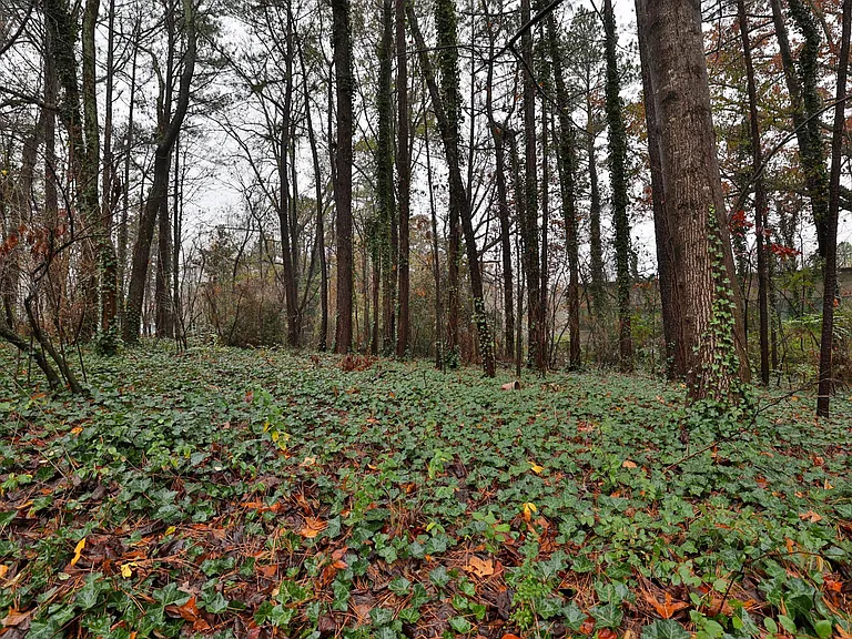 55 Mount Vernon Cir — Photo 25